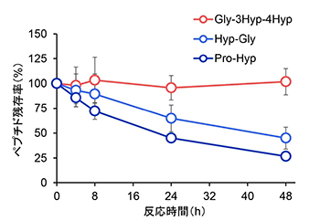 新規コラーゲン由来ペプチド「Gly-3Hyp-4Hyp」を発見 ― その高い安定性 
